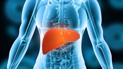 Fatty Liver: 5 Simple Fitness Tests to Gauge Your Risk, According to a Doctor