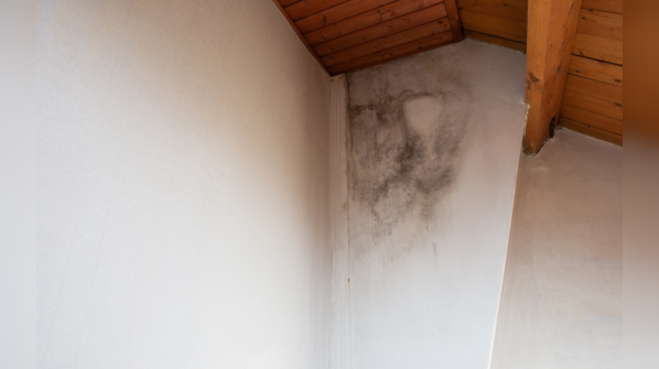 Mold growth in a damp bedroom