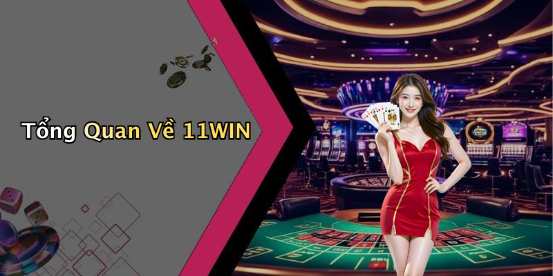 Tổng Quan Về 11WIN