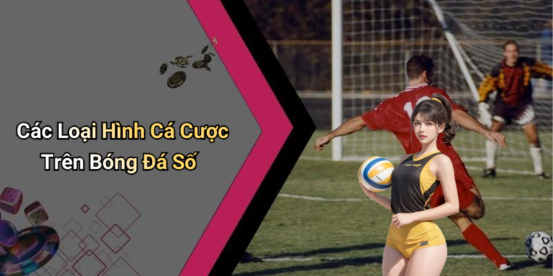 Các Loại Hình Cá Cược Trên Bóng Đá Số