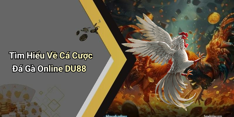 Tìm Hiểu Về Cá Cược Đá Gà Online DU88