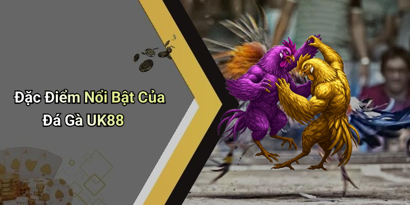 Đặc Điểm Nổi Bật Của Đá Gà UK88
