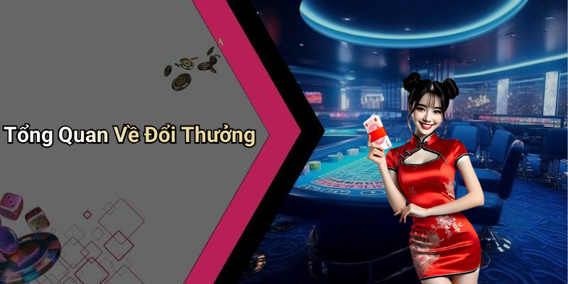 Tổng Quan Về Đổi Thưởng