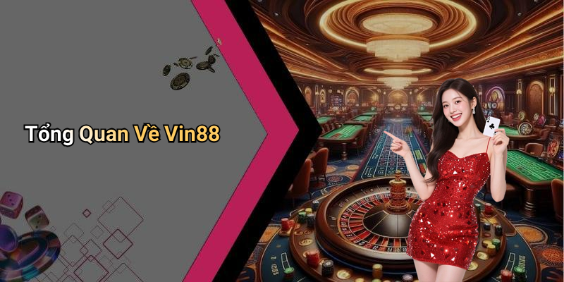Tổng Quan Về Vin88