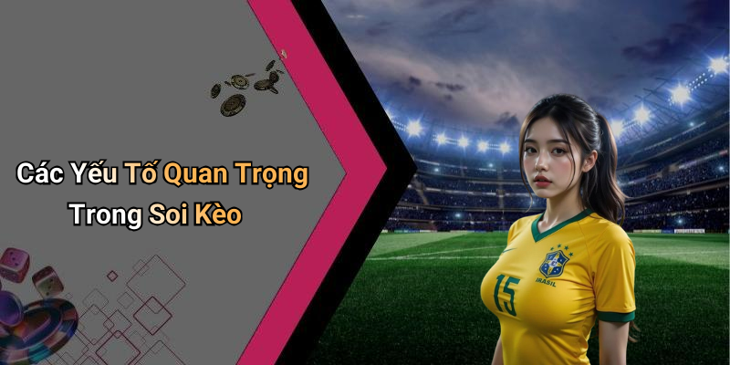 Các Yếu Tố Quan Trọng Trong Soi Kèo