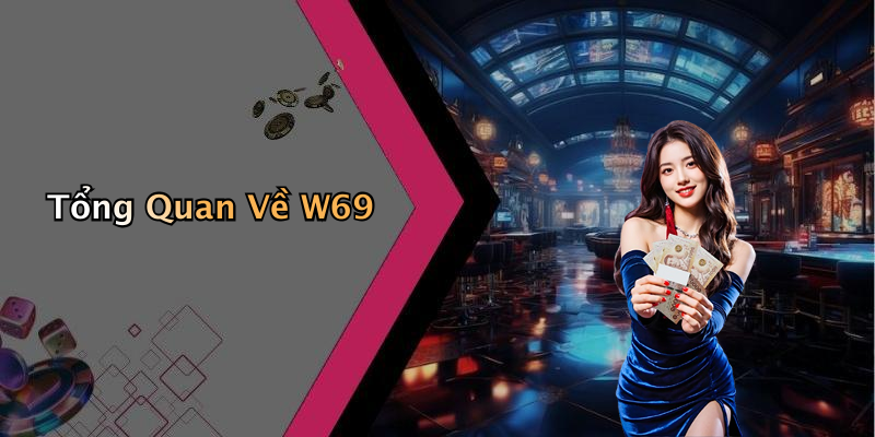 Tổng Quan Về W69