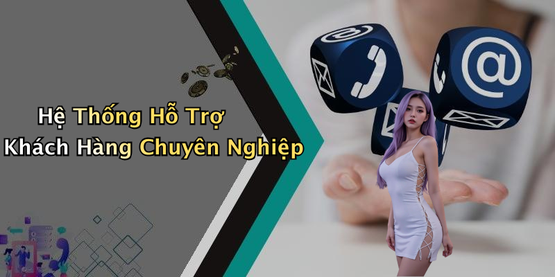 Hệ Thống Hỗ Trợ Khách Hàng Chuyên Nghiệp
