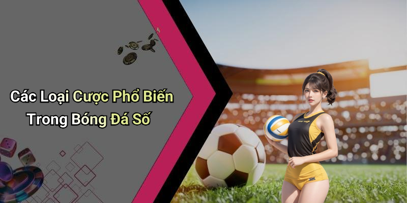 Các Loại Cược Phổ Biến Trong Bóng Đá Số