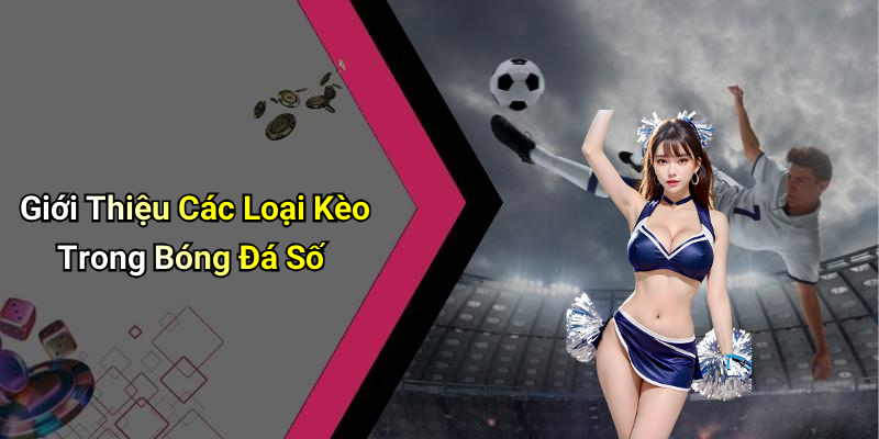 Giới Thiệu Các Loại Kèo Trong Bóng Đá Số