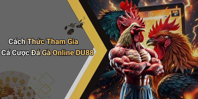 Cách Thức Tham Gia Cá Cược Đá Gà Online DU88