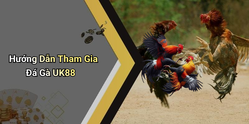 Hướng Dẫn Tham Gia Đá Gà UK88