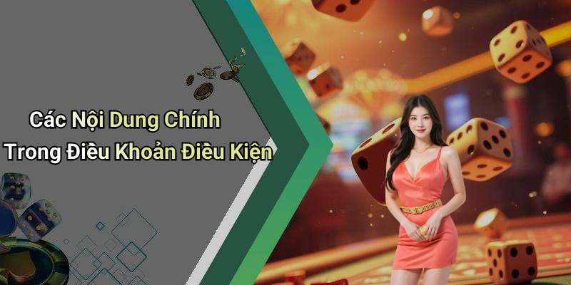 Các Nội Dung Chính Trong Điều Khoản Điều Kiện