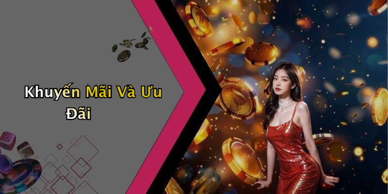 Khuyến Mãi Và Ưu Đãi