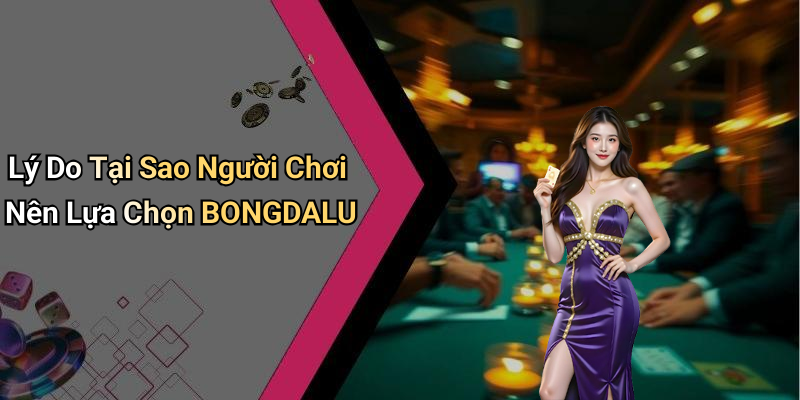 Lý Do Tại Sao Người Chơi Nên Lựa Chọn BONGDALU
