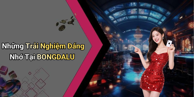 Những Trải Nghiệm Đáng Nhớ Tại BONGDALU