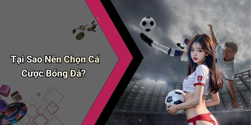 Tại Sao Nên Chọn Cá Cược Bóng Đá?