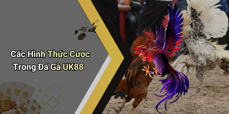 Các Hình Thức Cược Trong Đá Gà UK88