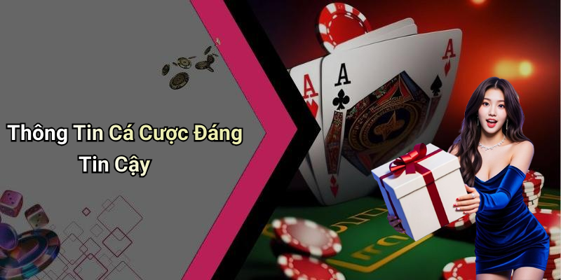 Thông Tin Cá Cược Đáng Tin Cậy