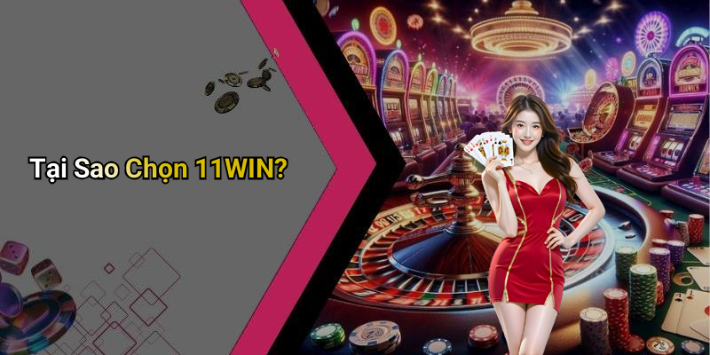 Tại Sao Chọn 11WIN?