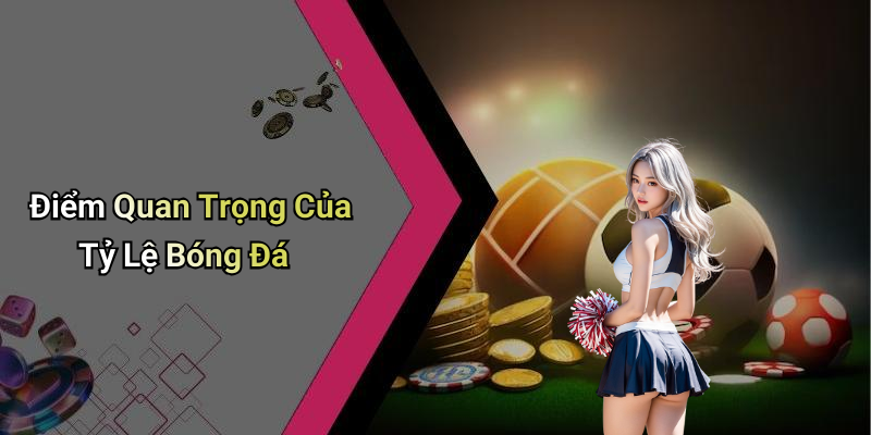 Điểm Quan Trọng Của Tỷ Lệ Bóng Đá